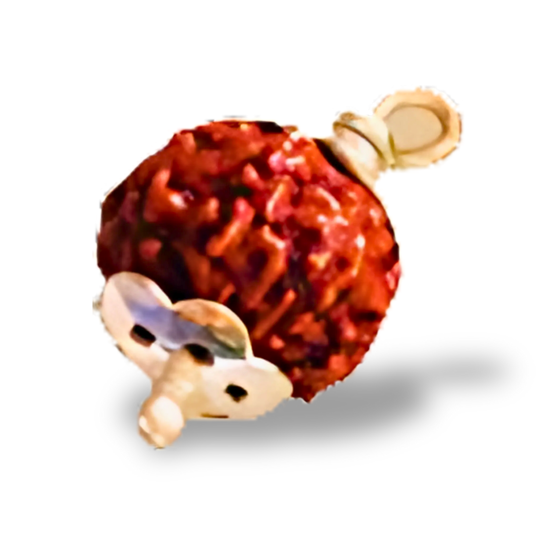 13 Mukhi Rudraksha With Silver Pendant With Lab Certificate Ratna Palace