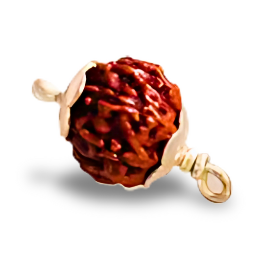 14 Mukhi Rudraksha With Silver Pendant With Lab Certificate Ratna Palace