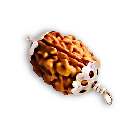 3 Mukhi Rudraksha With Silver Pendant With Lab Certificate Ratna Palace