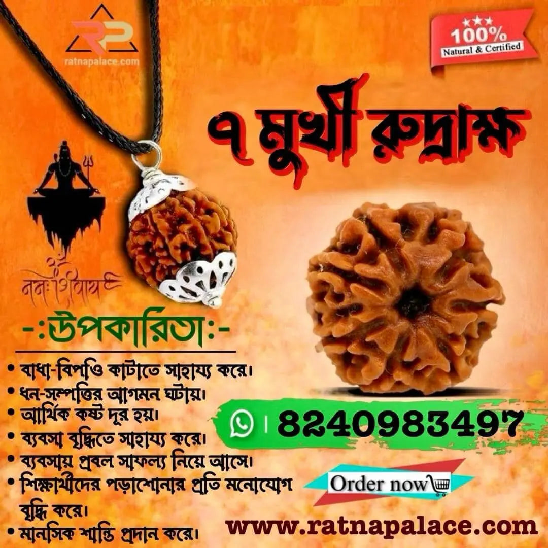 7 Mukhi Rudraksha With Silver Pendant With Lab Certificate Ratna Palace