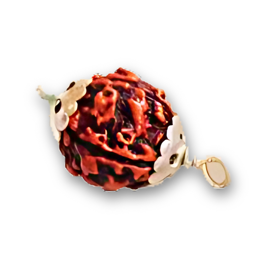 4 Mukhi Rudraksha With Silver Pendant With Lab Certificate Ratna Palace