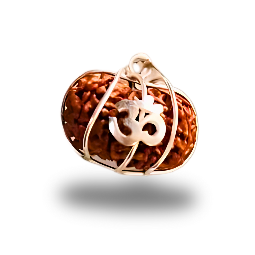 Gouri Shankar Rudraksha With Silver Pendant With Lab Certificate Ratna Palace