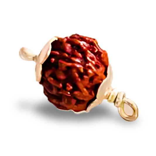 14 Mukhi Rudraksha With Silver Pendant With Lab Certificate