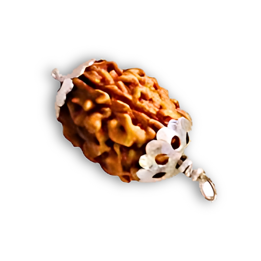 3 Mukhi Rudraksha With Silver Pendant With Lab Certificate