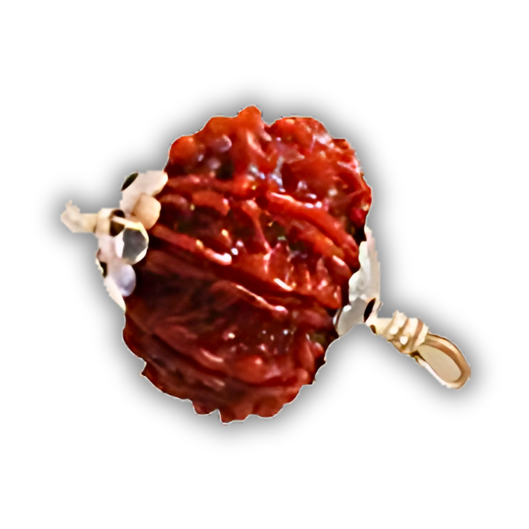 9 Mukhi Rudraksha With Silver Pendant With Lab Certificate