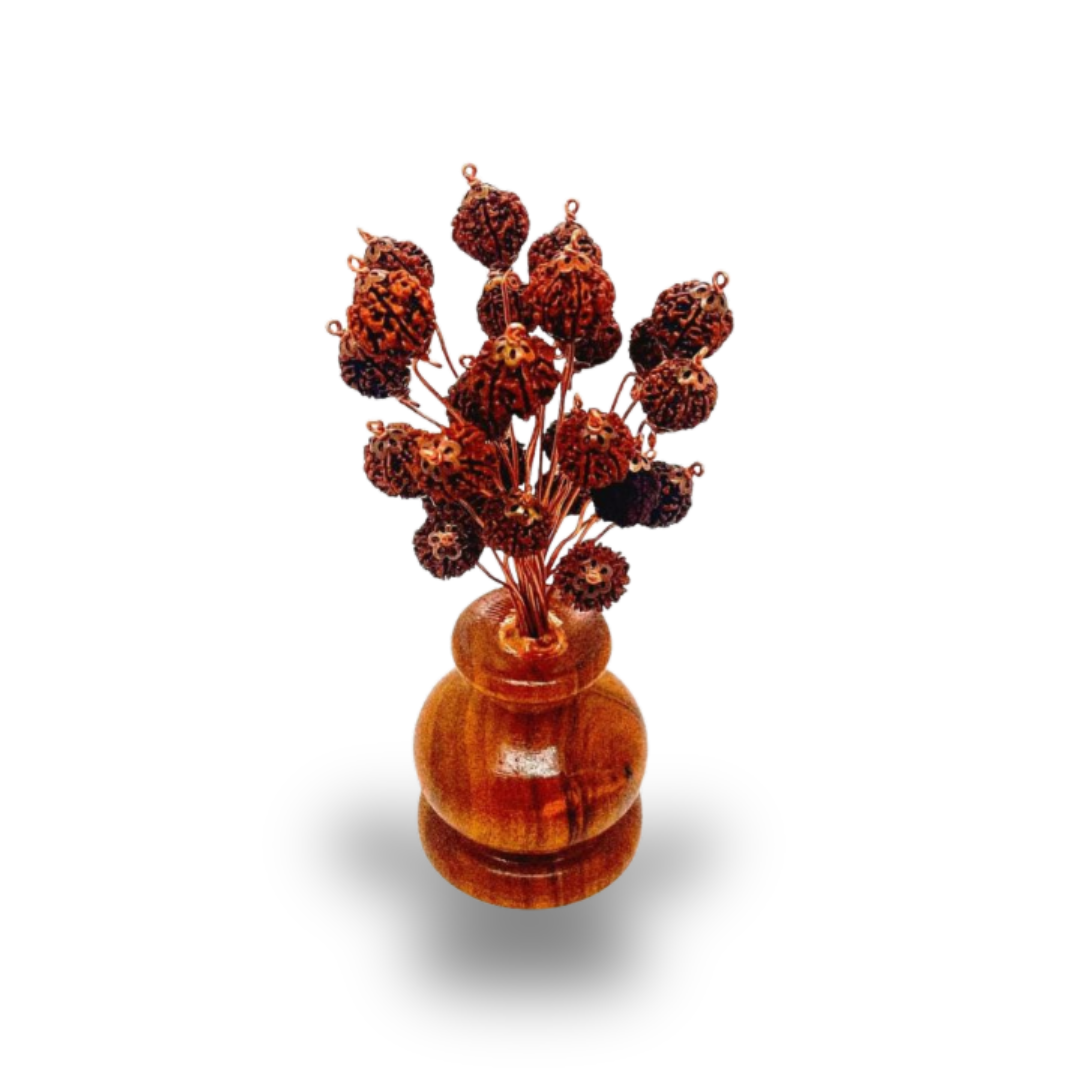 Rudraksha Tree