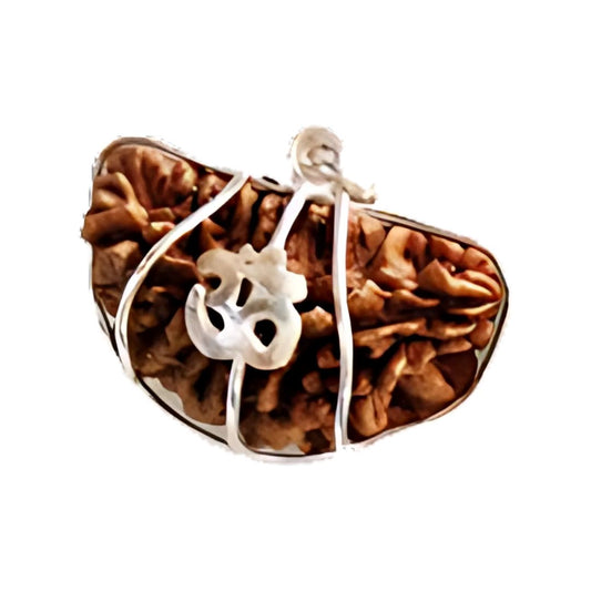 1 Mukhi Rudraksha With Silver Pendant With Lab Certificate